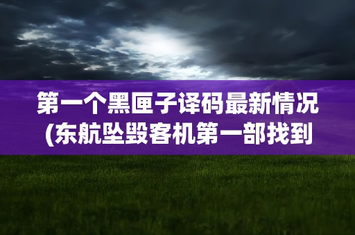 第一个黑匣子译码最新情况(东航坠毁客机第一部找到的黑匣子译码最新情况三问三答)