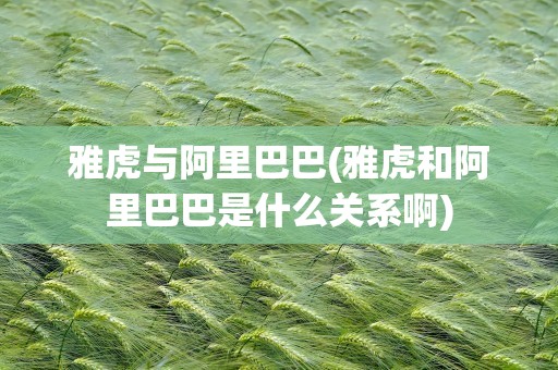雅虎与阿里巴巴(雅虎和阿里巴巴是什么关系啊)