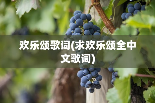 欢乐颂歌词(求欢乐颂全中文歌词)