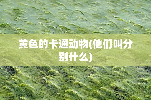 黄色的卡通动物(他们叫分别什么)