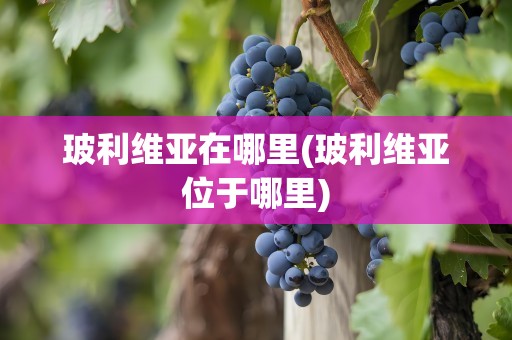 玻利维亚在哪里(玻利维亚位于哪里)
