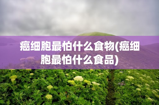 癌细胞最怕什么食物(癌细胞最怕什么食品)