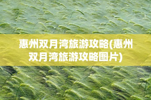 惠州双月湾旅游攻略(惠州双月湾旅游攻略图片)