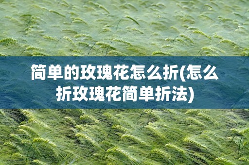 简单的玫瑰花怎么折(怎么折玫瑰花简单折法)