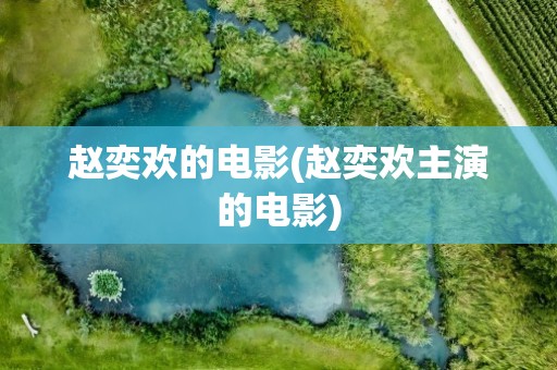 赵奕欢的电影(赵奕欢主演的电影)