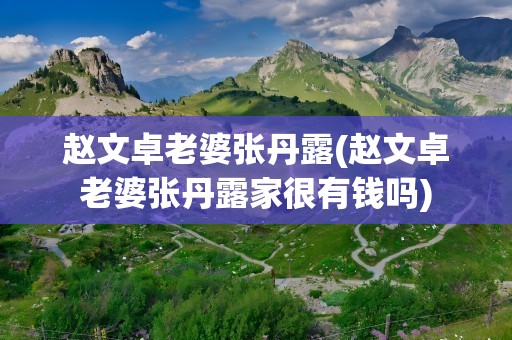 赵文卓老婆张丹露(赵文卓老婆张丹露家很有钱吗)