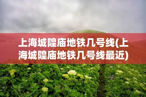 上海城隍庙地铁几号线(上海城隍庙地铁几号线最近)