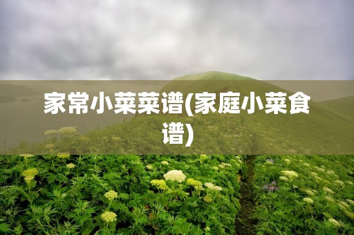 家常小菜菜谱(家庭小菜食谱)
