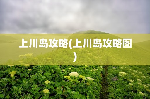 上川岛攻略(上川岛攻略图)