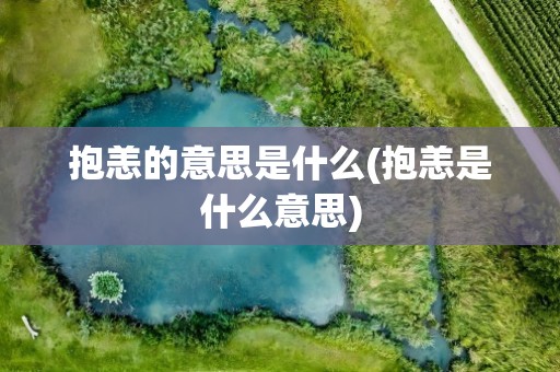 抱恙的意思是什么(抱恙是什么意思)