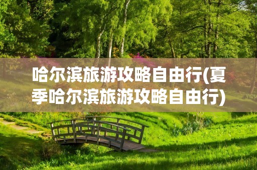 哈尔滨旅游攻略自由行(夏季哈尔滨旅游攻略自由行)