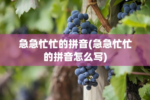 急急忙忙的拼音(急急忙忙的拼音怎么写)