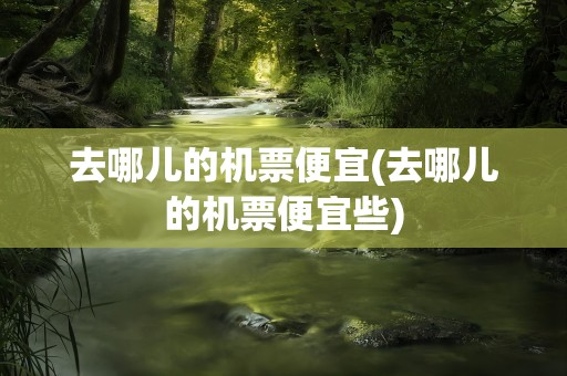 去哪儿的机票便宜(去哪儿的机票便宜些)