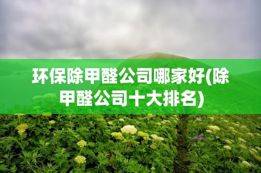 环保除甲醛公司哪家好(除甲醛公司十大排名)