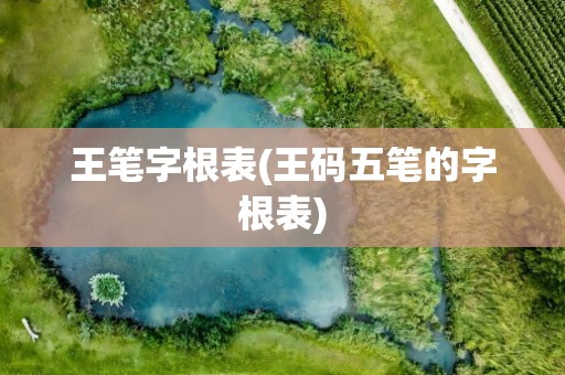 王笔字根表(王码五笔的字根表)