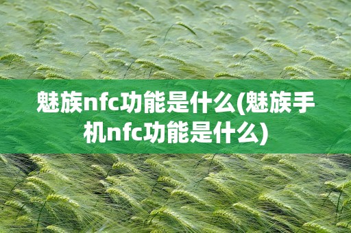 魅族nfc功能是什么(魅族手机nfc功能是什么)