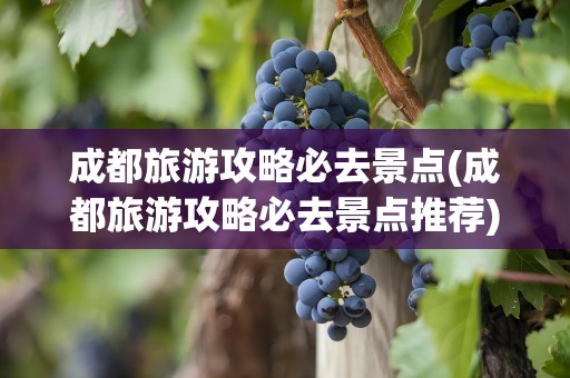成都旅游攻略必去景点(成都旅游攻略必去景点推荐)