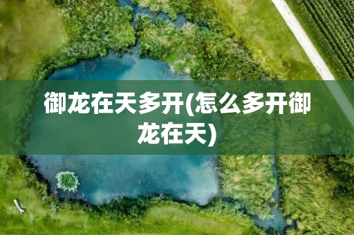 御龙在天多开(怎么多开御龙在天)