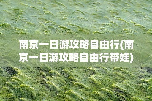 南京一日游攻略自由行(南京一日游攻略自由行带娃)