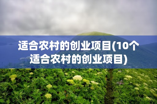 适合农村的创业项目(10个适合农村的创业项目)