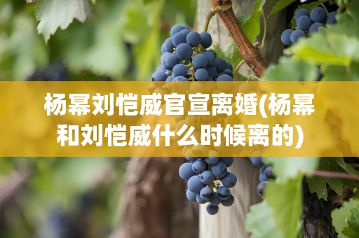 杨幂刘恺威官宣离婚(杨幂和刘恺威什么时候离的)