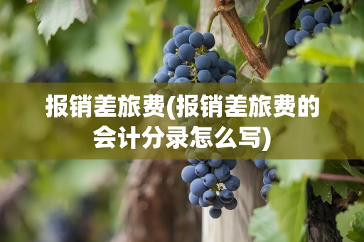 报销差旅费(报销差旅费的会计分录怎么写)