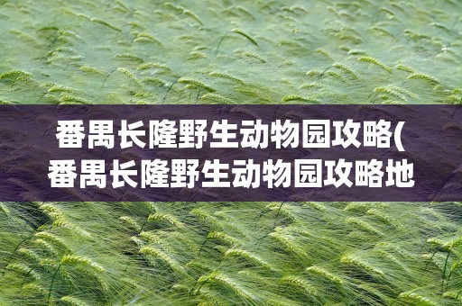 番禺长隆野生动物园攻略(番禺长隆野生动物园攻略地图)