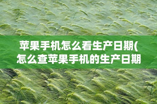 苹果手机怎么看生产日期(怎么查苹果手机的生产日期)