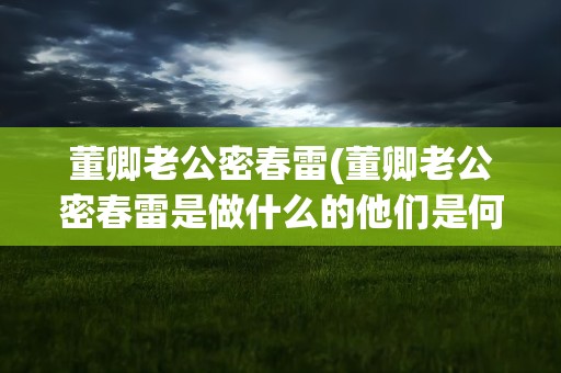 董卿老公密春雷(董卿老公密春雷是做什么的他们是何时结婚的)