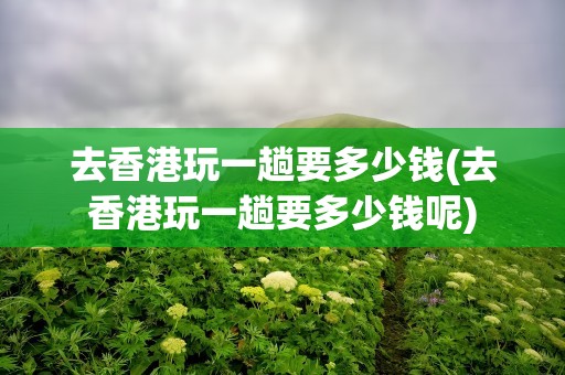 去香港玩一趟要多少钱(去香港玩一趟要多少钱呢)