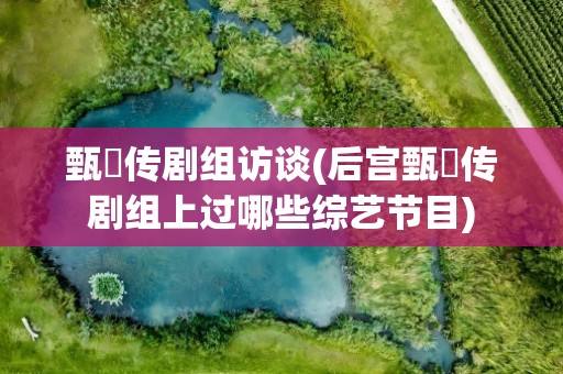 甄嬛传剧组访谈(后宫甄嬛传剧组上过哪些综艺节目)