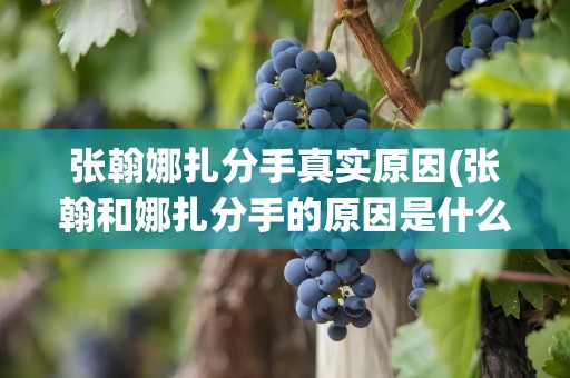 张翰娜扎分手真实原因(张翰和娜扎分手的原因是什么)