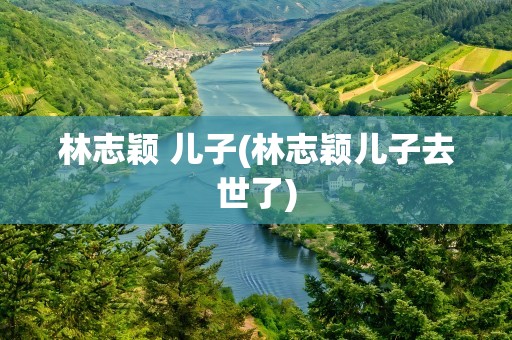 林志颖 儿子(林志颖儿子去世了)