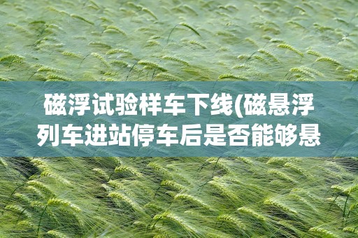 磁浮试验样车下线(磁悬浮列车进站停车后是否能够悬浮)