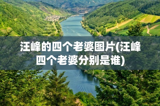 汪峰的四个老婆图片(汪峰四个老婆分别是谁)