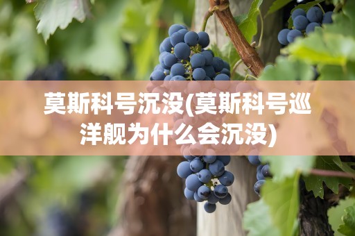 莫斯科号沉没(莫斯科号巡洋舰为什么会沉没)