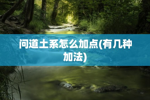 问道土系怎么加点(有几种加法)