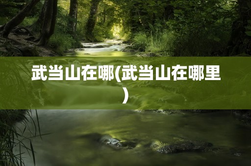 武当山在哪(武当山在哪里)