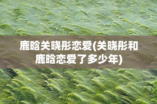 鹿晗关晓彤恋爱(关晓彤和鹿晗恋爱了多少年)