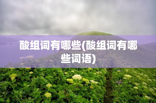 酸组词有哪些(酸组词有哪些词语)