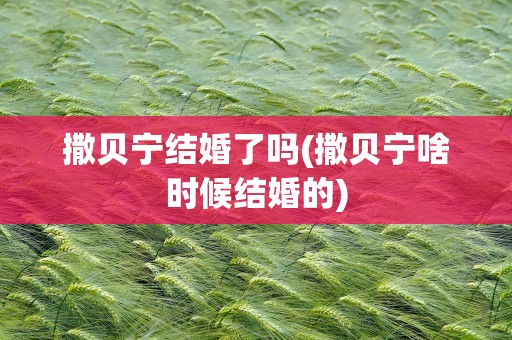撒贝宁结婚了吗(撒贝宁啥时候结婚的)