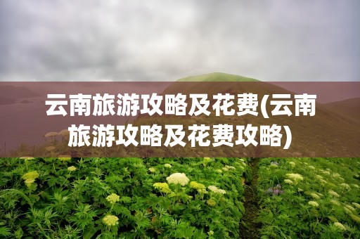 云南旅游攻略及花费(云南旅游攻略及花费攻略)