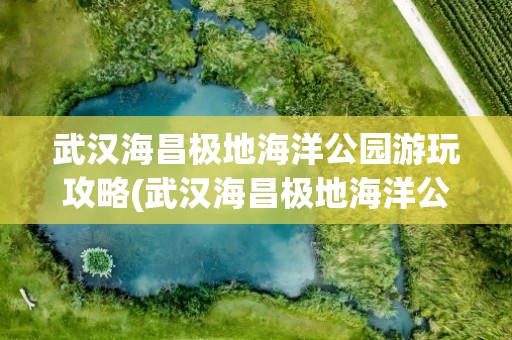 武汉海昌极地海洋公园游玩攻略(武汉海昌极地海洋公园游玩攻略下载)