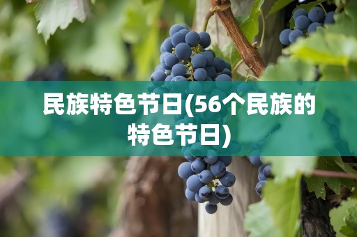 民族特色节日(56个民族的特色节日)