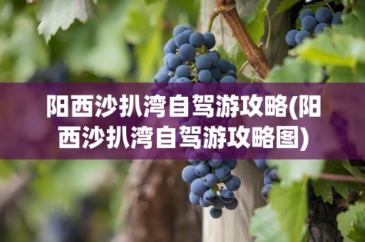 阳西沙扒湾自驾游攻略(阳西沙扒湾自驾游攻略图)