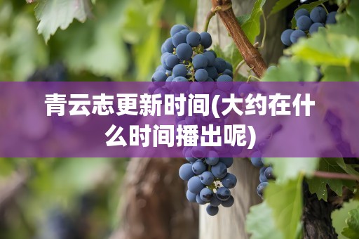 青云志更新时间(大约在什么时间播出呢)