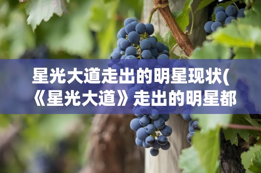 星光大道走出的明星现状(《星光大道》走出的明星都有谁)