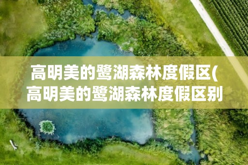 高明美的鹭湖森林度假区(高明美的鹭湖森林度假区别墅)