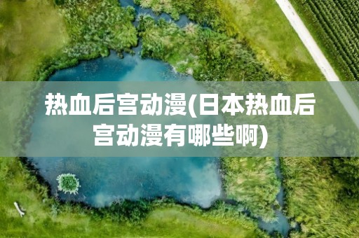 热血后宫动漫(日本热血后宫动漫有哪些啊)