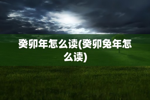 癸卯年怎么读(癸卯兔年怎么读)